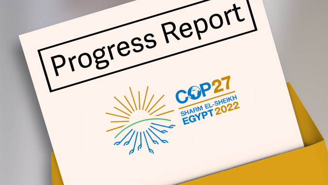 progress report with COP 27